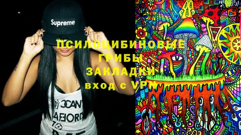 Галлюциногенные грибы Magic Shrooms  что такое   Нерчинск 